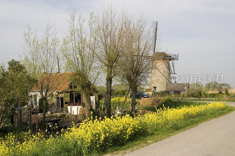 Kinderdijk 9号的风车